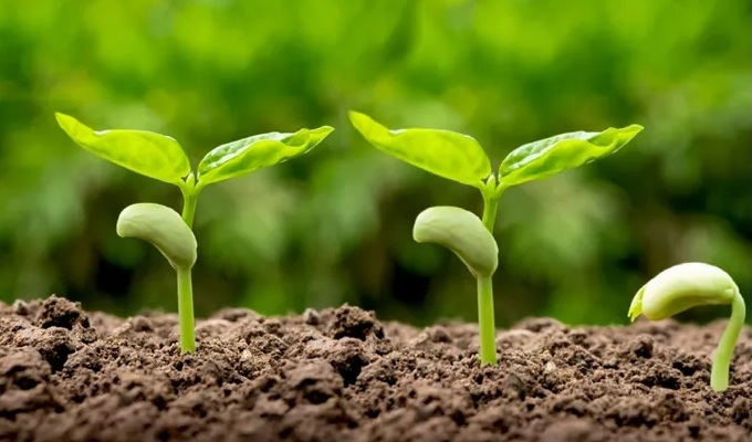 Leading website design banner image